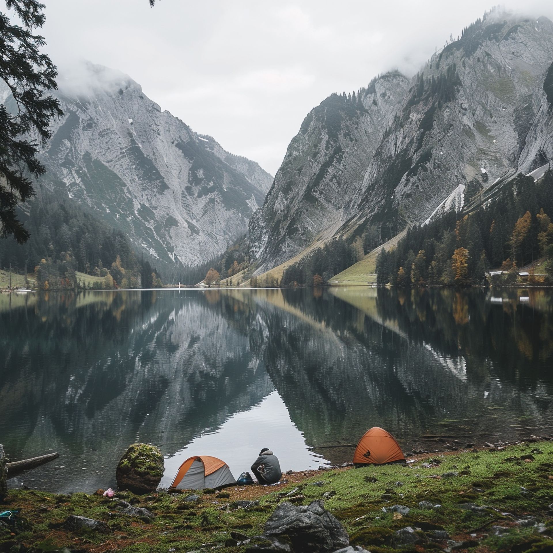 Camping au bord d'un lac en forêt